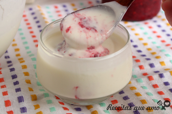 Iogurte caseiro com 2 ingredientes